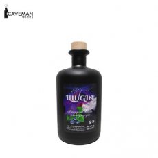 ILLUGIN Illugin - Blueberry 50cl